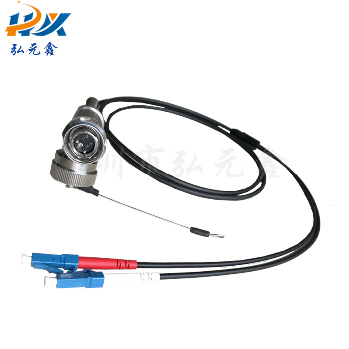 J599 A8 2-core fiber plug